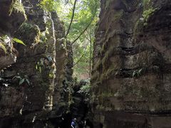 -梭布垭石林景区