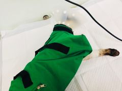 -达爱动物医院·犬猫分区·CT·复杂眼科(远洋山水分院)