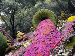 -杭州植物园