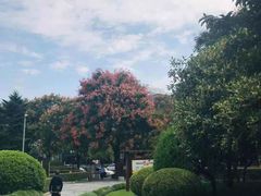 -月湖公园