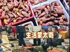 -呈贡滇池生态湿地公园