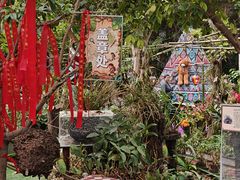 -呀路古热带植物园