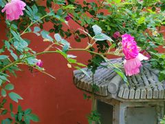 -北京石刻艺术博物馆(五塔寺)