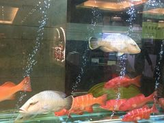 -海逸海鲜酒家(古北店)