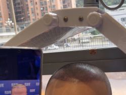 -碧莲盛·不剃发植发