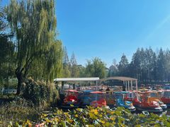 -宁波儿童公园(鄞州区)