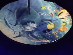 -北戴河圣蓝海洋公园