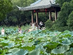 -江心屿景区