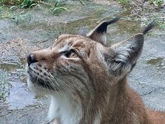 -杭州野生动物世界