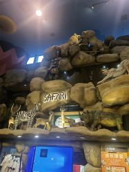 -卡通尼·Safari非洲探索乐园·生日会(金桥国际商业广场店)