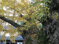 -无锡惠山寺