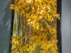 -渝乡辣婆婆·川菜 水煮鱼(安平店)