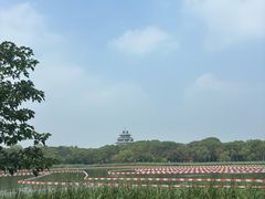 -金鸡湖桃花岛