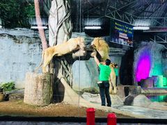 -清迈夜间动物园