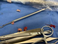 -浙江大学医学院附属口腔医院湖滨（延安）院区