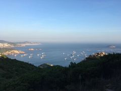 -枸杞岛