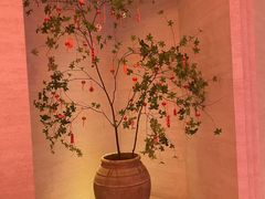 -舒小悦·舒养SPA·古法推拿(光环中心店)