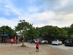 -满記土窑烧鷄波浪山莊