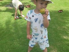 -石梅湾艾美度假酒店