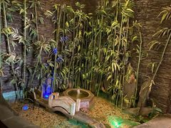 -家富富侨(西城店)