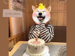 -YC工作室蛋糕定制