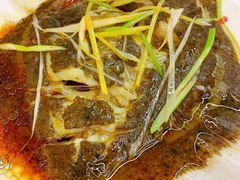 清蒸小多宝鱼-北戴河庆山饭店·海鲜砂锅粥(北戴河黑石路店)