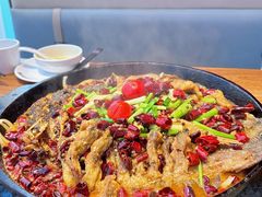 -老板恋上鱼(恒隆广场店)