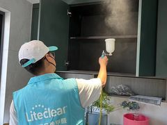 -Liteclear日本进口强效除甲醛检测治理(旗舰店)