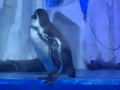 -多彩贵州城极地海洋世界