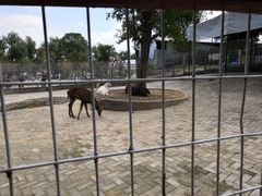 -武汉紫薇都市田园