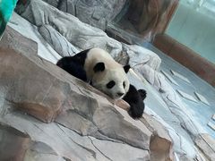 -青藏高原野生动物园