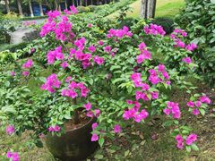 -杭州花家山庄