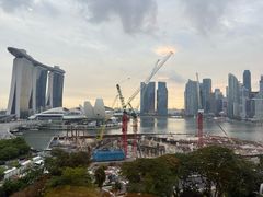 -新加坡丽思卡尔顿美年酒店