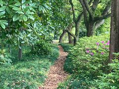 -浙江西子宾馆·瑶园咖啡厅