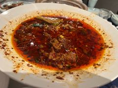 -院8里·小聚园老川菜(九眼桥店)