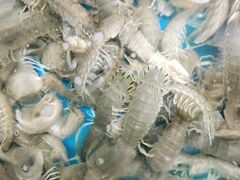 -宾朋海鲜美食餐厅·特色美食(兴海路店)