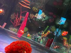 -沈阳海洋探索中心