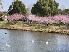 -嬉乐湾休闲旅游区