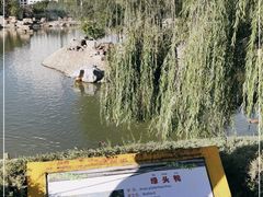 -青藏高原野生动物园