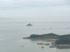 -野狸岛