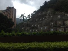 -香港大学