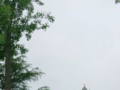 -渡海小渔村.老辈日照菜