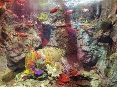 -太平洋海底世界