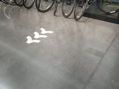 -迪卡侬(明光路店)