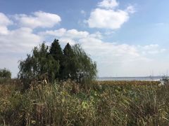 -莲花岛景区