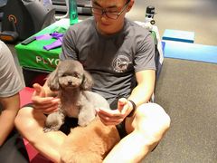 -MR.COOL健身工作室(浦江城市生活广场店)