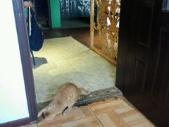 -盛天毛血旺非遗美食(观音桥店)