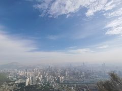 -兰山公园