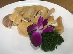 -寻味顺德·南记酒家·传统顺德菜·鱼生(广源路店)