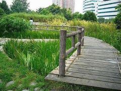 -成都市活水公园